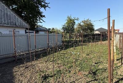 Casă cu 3 camere decomandat în Cordun - 5