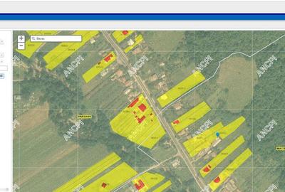 Casa si teren in Prislopu Mic, com. Bascov, jud. Arges - ... Casa si teren in Prislopu Mic, com. Bascov, jud. Arges - ... - 5