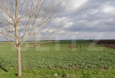 Teren în Central - 1