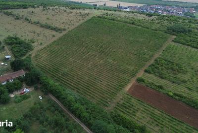 Casă cu 7 camere cu Teren 90000 Mp în Central