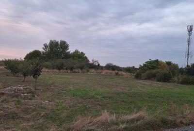 Teren Construcții intravilan de 608 mp, în Dumbrăvița