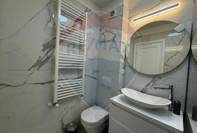 Apartament de lux Malul Muresului-Micalaca - 11