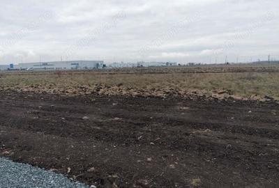 Ghiroda teren industrial 4310 mp - 6