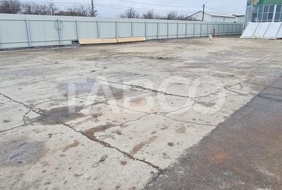 Hala cu suprafata de 2000 mp si birouri de inchiriat in Lancram Alba - 5