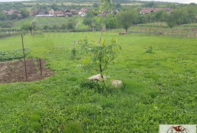 Teren intravilan de vanzare in Henig Teren intravilan de vanzare in Henig - 1