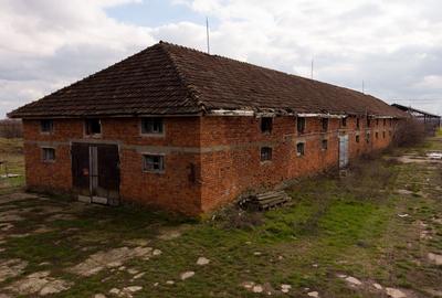 Spațiu industrial, de 3,000 mp, în Mișca - 19