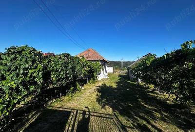 Casă cu 2 camere cu Teren 3000 Mp în Ciofrângeni - 3