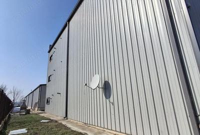 Spațiu comercial, de 500 mp, în Brănești - 9