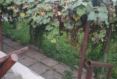 Casă cu 3 camere cu Teren 1000 Mp în Est - 6