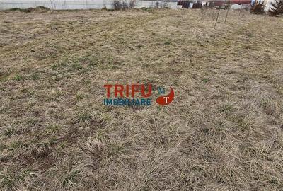 Spațiu comercial, în Micești - 1