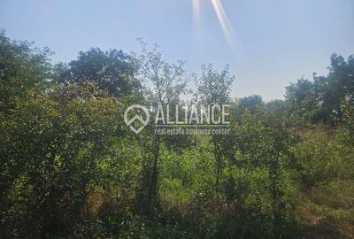 ISTRIA (COD04)-Teren intravilan 1528 mp-Constanta - 5