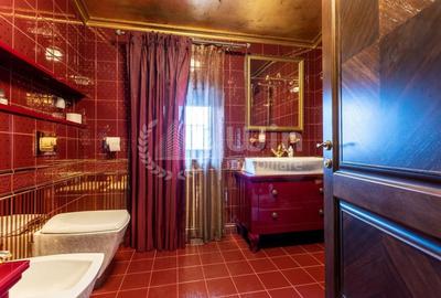 Casă individuală cu 10 camere cu Canalizare în Andrei Mureșanu - 11