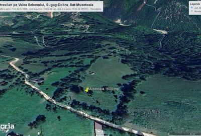 Teren de 1600 mp, în Șugag - 5