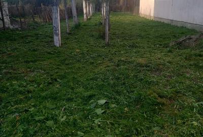 Casă cu 2 camere în Câlnic - 3