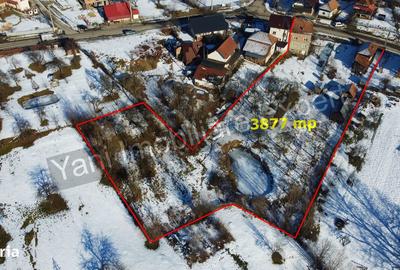 Casă cu 3 camere cu Teren 3877 Mp în Valea Danului - 15