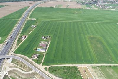 Teren de 40578 mp, în Ciorogârla - 14