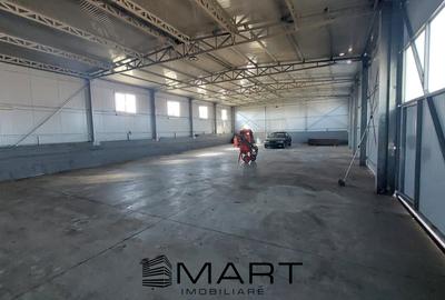 Spațiu industrial, de 270 mp, în Periferie - 1