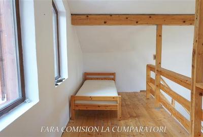 CABANA DE LA MUNTE, UN LOC FERMECATOR - 10