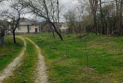 Casa de vanzare Domnesti Arges - 9