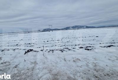 Teren de 11620 mp, în Hărman - 1