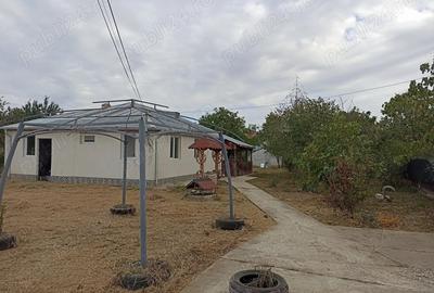 Casa 3 camere de vanzare comuna Bulbucata - 8