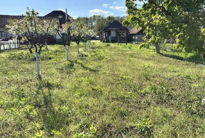Casă cu 2 camere în Alexeni - 2