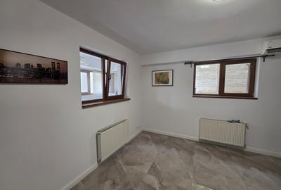 Ion Mihalache-Domenii - 13