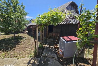 Casă cu 3 camere cu Teren 1330 Mp în Păunești - 10