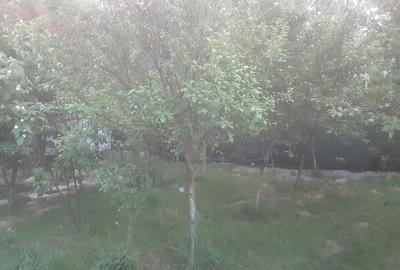 Casă cu 7 camere cu Teren 284 Mp în Nicolae Grigorescu - 4