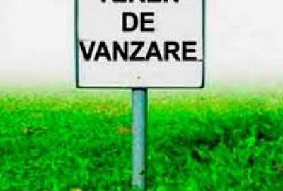 Teren intravilan , 5000mp , iesire la centura Radauti - 1