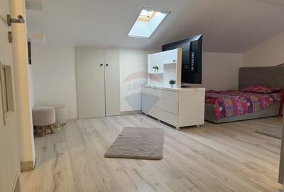 Apartament cu 4 camere semidecomandat, mobilat în Jiului - 9