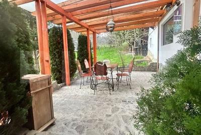 Spațiu comercial, de 600 mp, în Dălghiu - 9