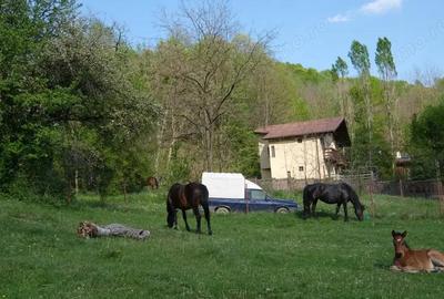 7700 Euro vanzare 220 mp teren asfalt apa gaz si curent Cosminele Prahova superb - 10