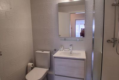 Apartament cu 2 camere decomandat, mobilat în Banu Manta - 5
