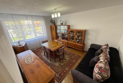 Apartament de vanzare, cu 2 camere, decomandat, 54 mp, zona Terezian - 9