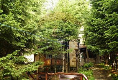 Spațiu comercial, de 510 mp, în Bisoca - 11