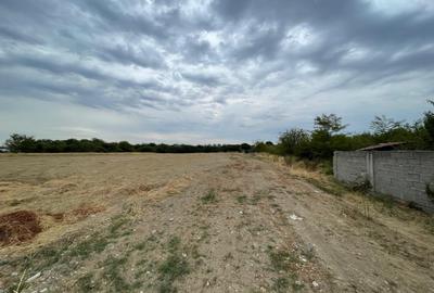 Teren intravilan 393mp cu utilitati la front situat in Braniste jud. Dolj