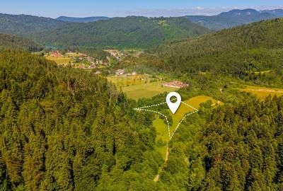 Teren Construcții intravilan de 7300 mp, în Brădet - 1