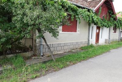 Casă cu 4 camere cu Teren 1700 Mp în Petid - 4