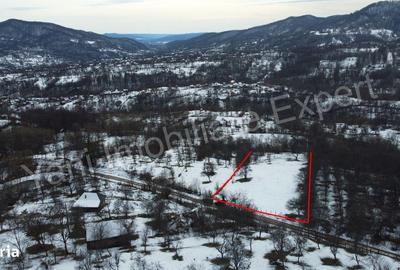 Teren de 4377 mp, în Bradu - 7