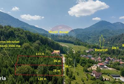 Spațiu comercial, în Timișu de Jos - 7