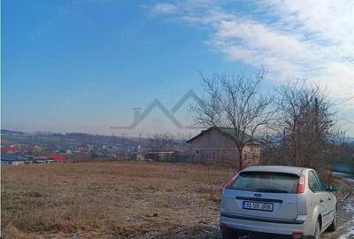 Teren de 3893 mp, în Proselnici - 9