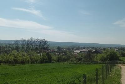 Teren în Micești - 7
