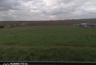 Spațiu comercial, în Rusciori - 2