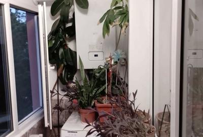 Apartament cu 4 camere decomandat în Valea Rosie - 2