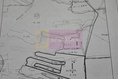 Teren agricol extravilan de 62600 mp, în Albota - 2