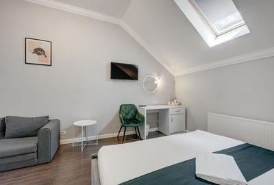 Vindem Afacerea ! Mini Hotel + Cafenea/ Restaurant ! Parcul Carol ! - 54