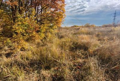 Teren generos de vanzare in Mosoaia Arges - 5