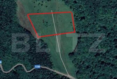 Teren extravilan de vanzare, 2,4 hectare, zona drumul Tarpiu - 8