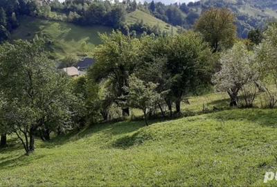 Spațiu comercial, în Moieciu - 3